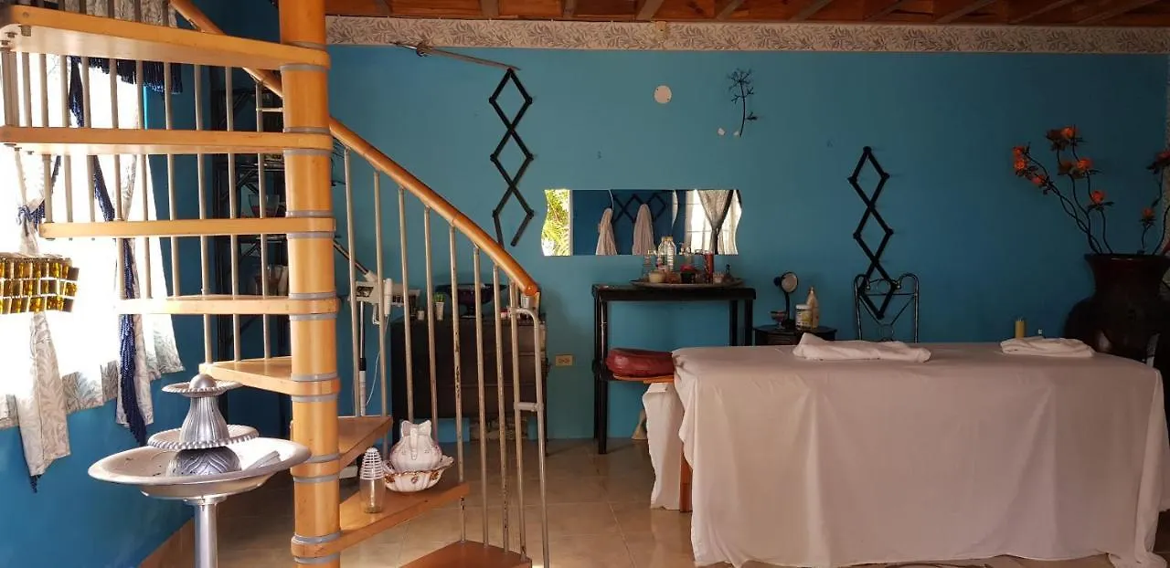 Little Savoy Guest House contacts